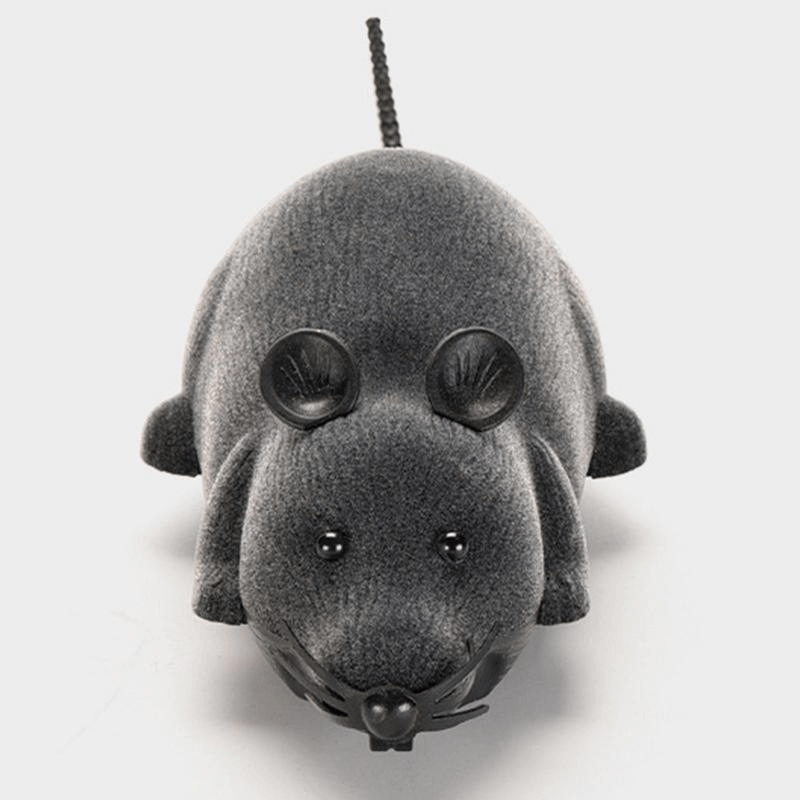 Șoarece cu telecomandă